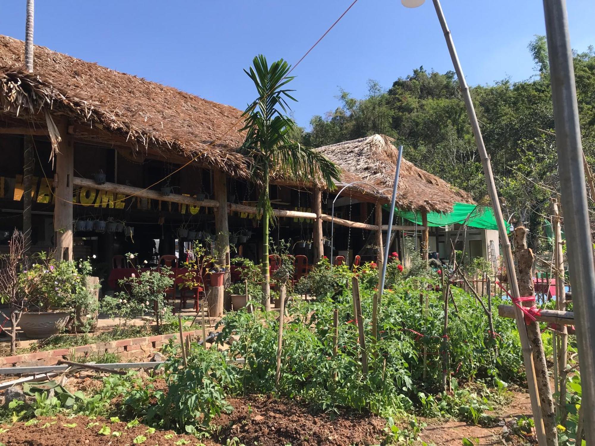 Bee Lucky Homestay Hien Hao Exterior photo