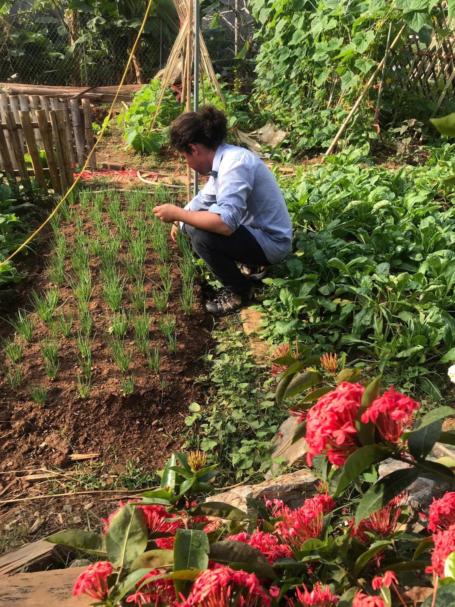 Bee Lucky Homestay Hien Hao Exterior photo