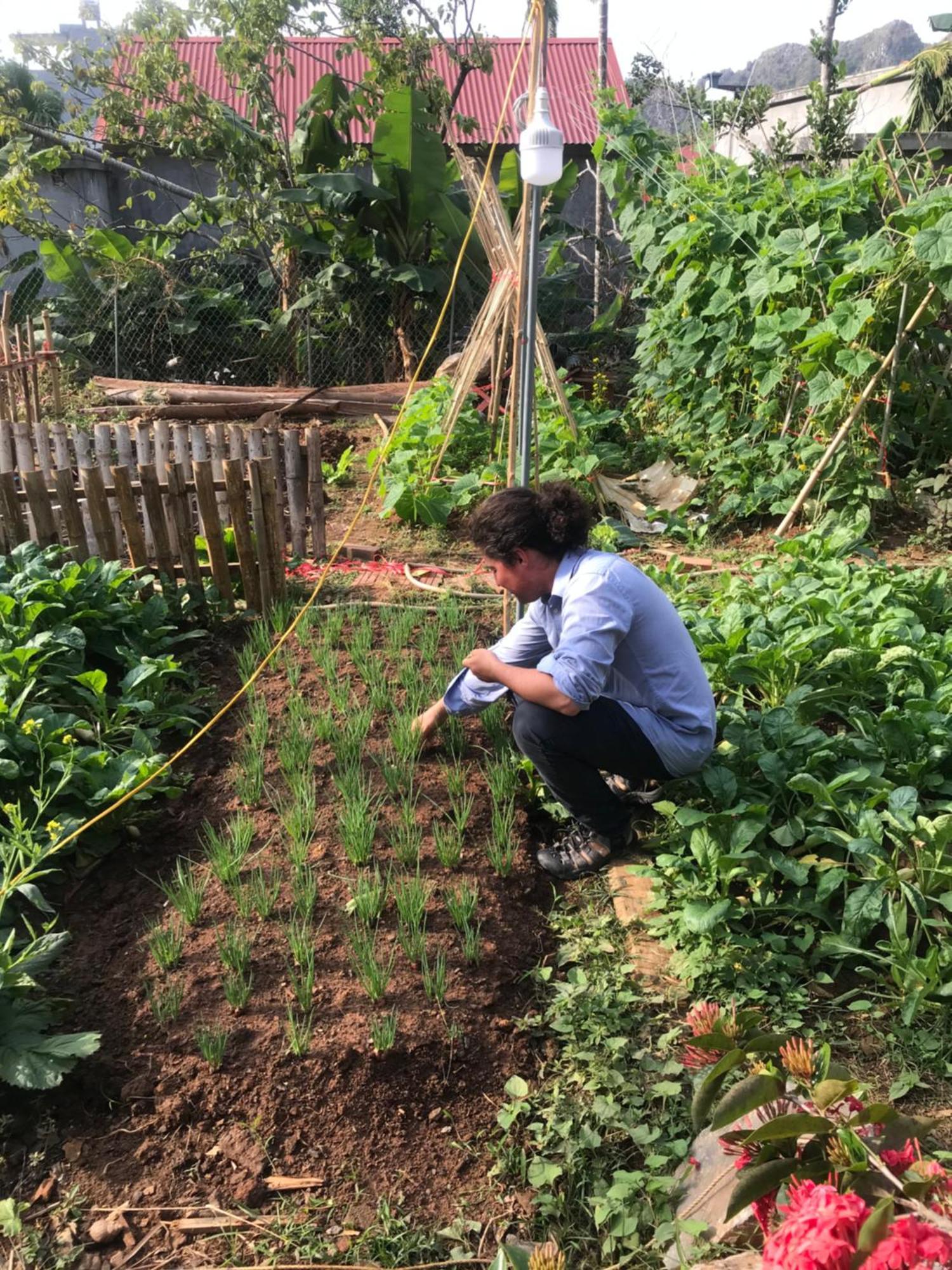 Bee Lucky Homestay Hien Hao Exterior photo
