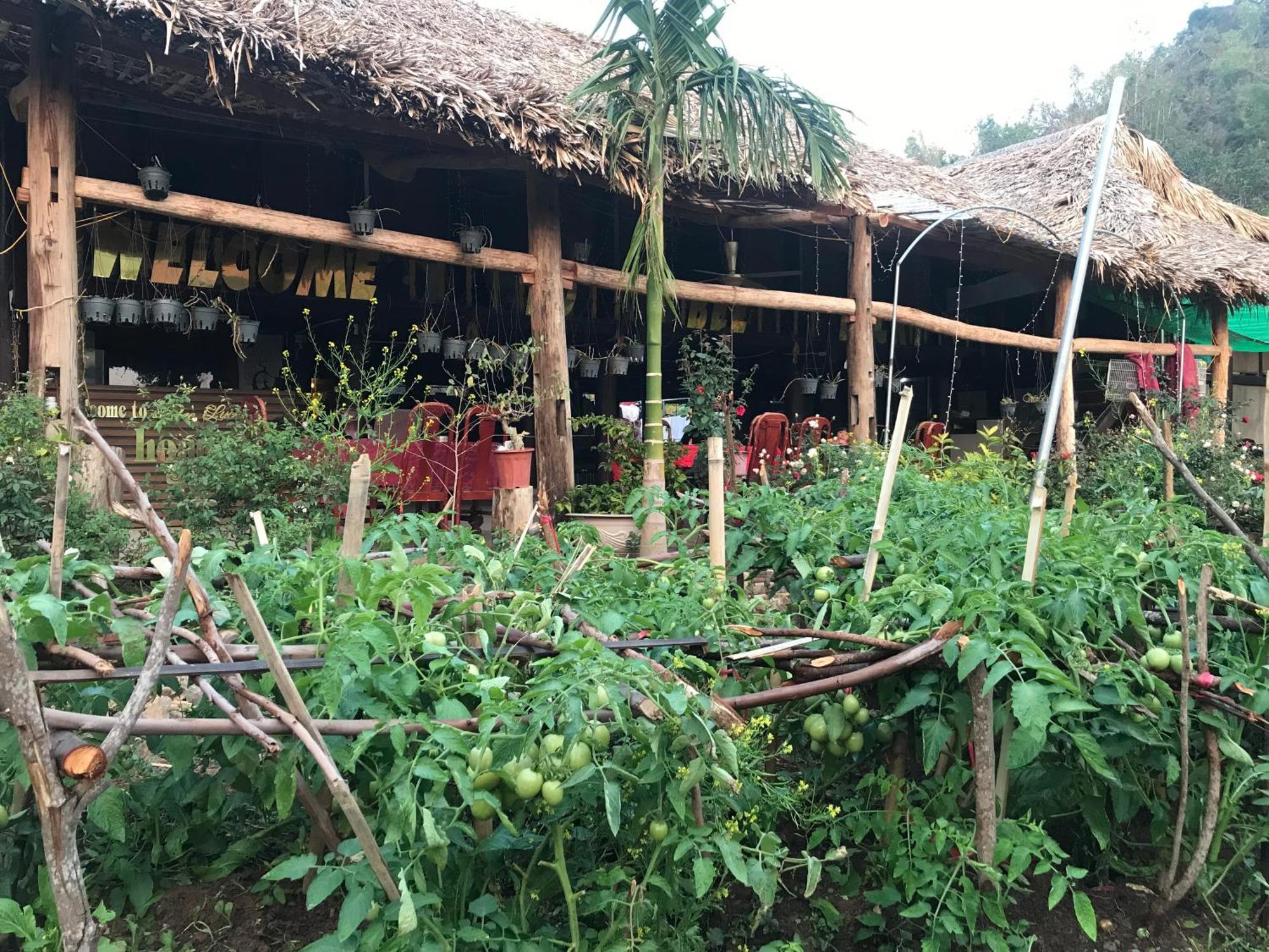 Bee Lucky Homestay Hien Hao Exterior photo