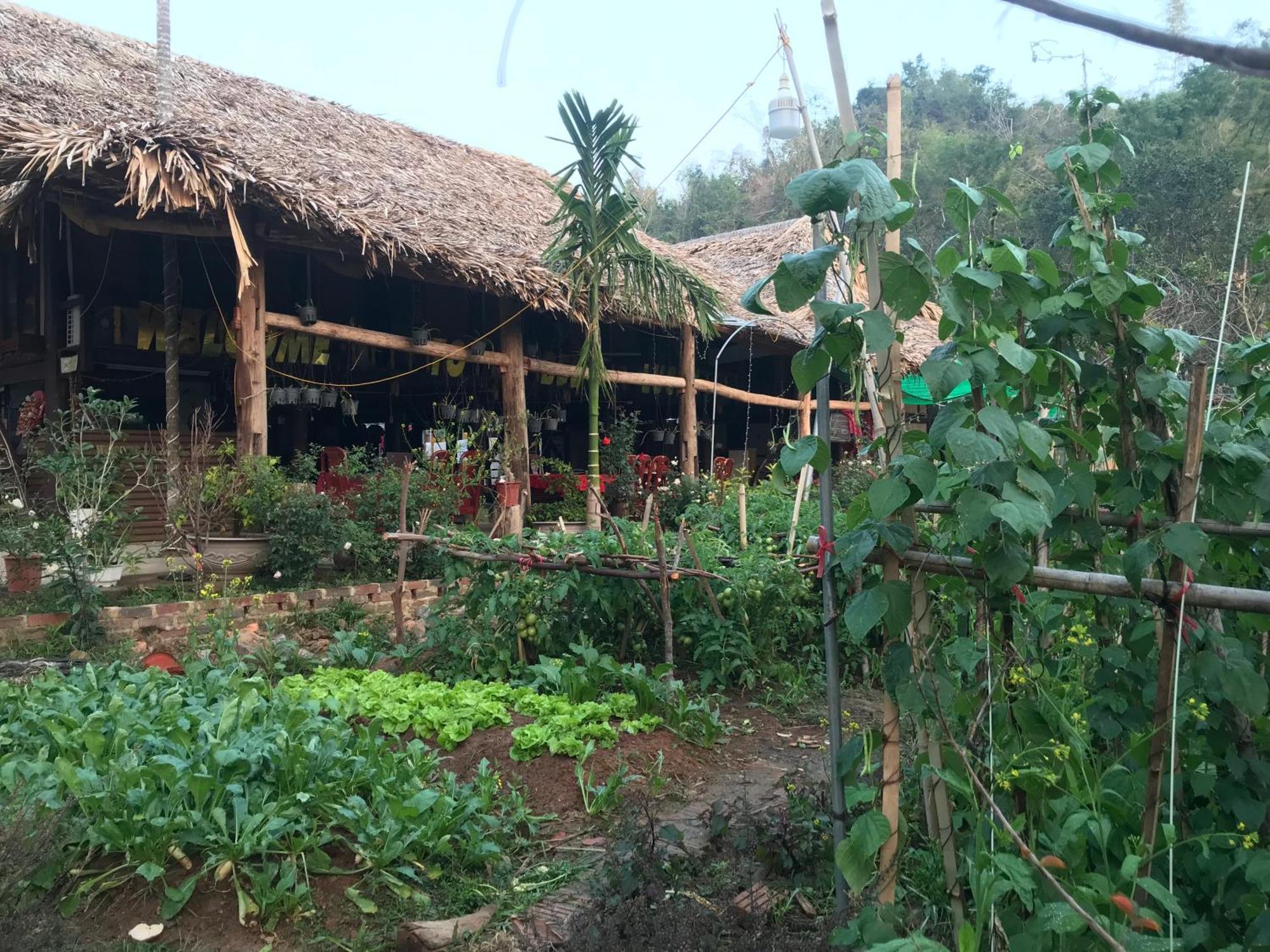 Bee Lucky Homestay Hien Hao Exterior photo