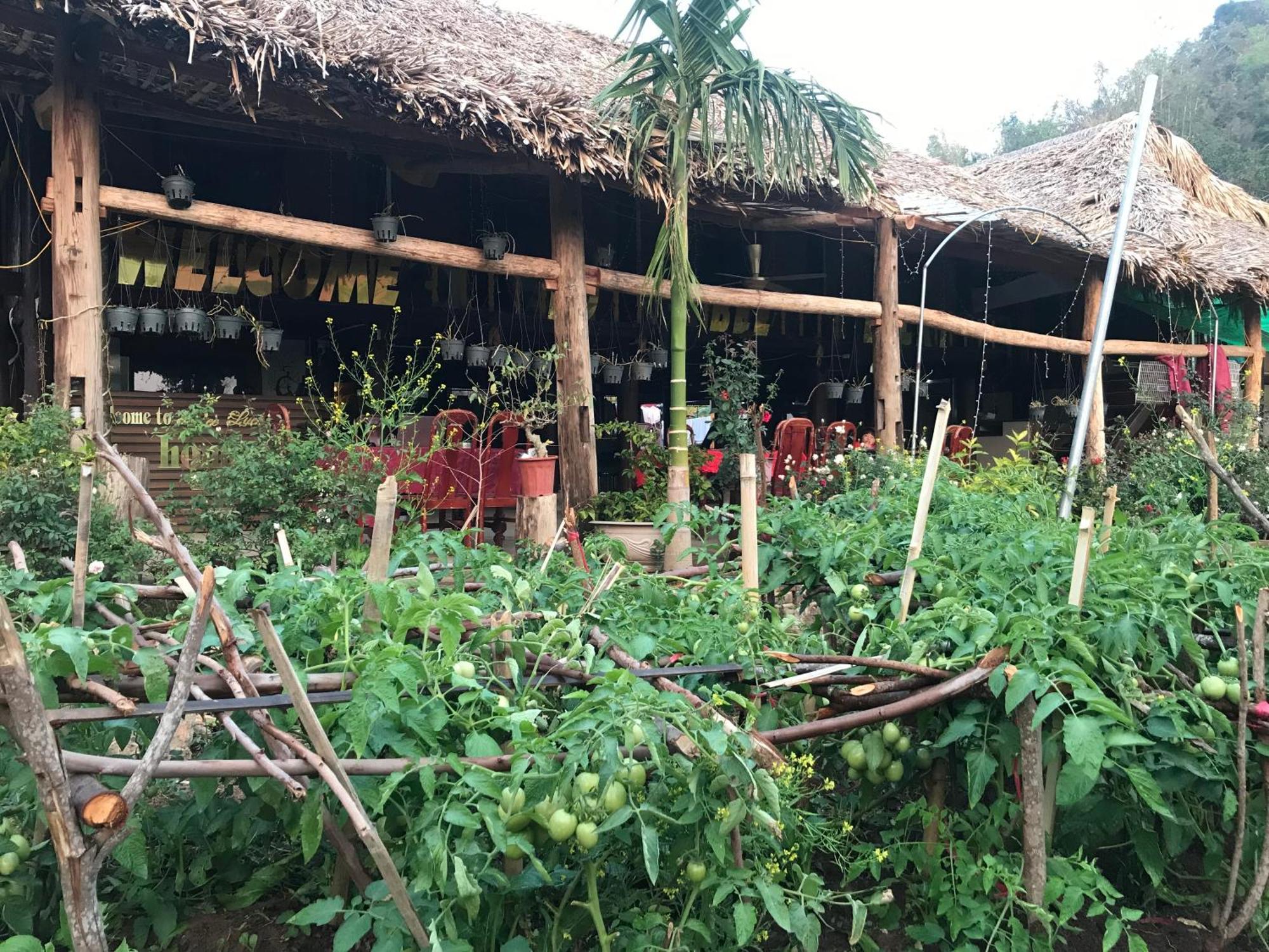Bee Lucky Homestay Hien Hao Exterior photo